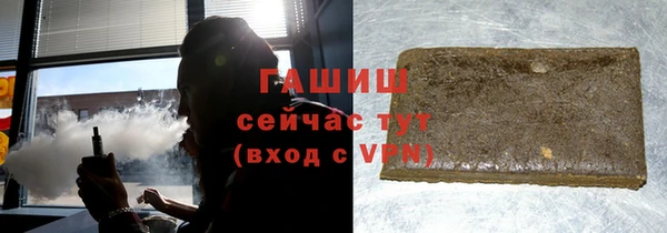 хмурый Аркадак