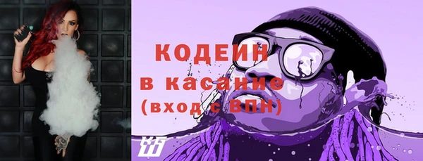 хмурый Аркадак