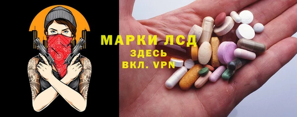 хмурый Аркадак
