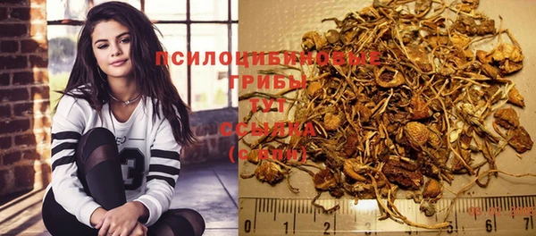 первитин Армянск