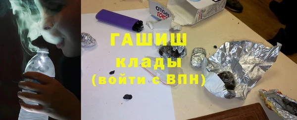 хмурый Аркадак
