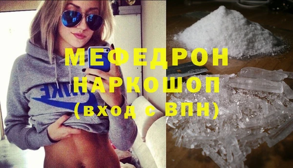 хмурый Аркадак