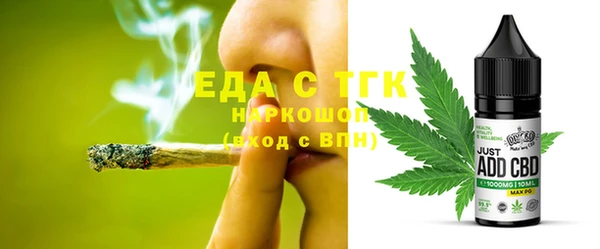 хмурый Аркадак