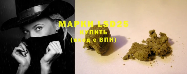 гашик Арсеньев