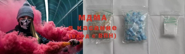 хмурый Аркадак