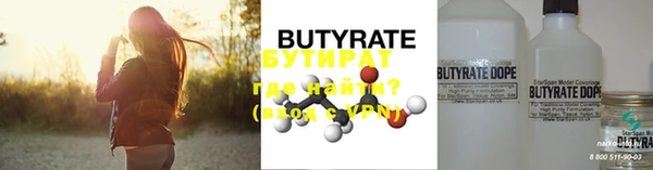 хмурый Аркадак