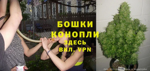 гашик Арсеньев