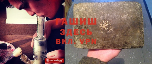 хмурый Аркадак
