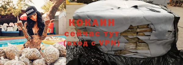 хмурый Аркадак