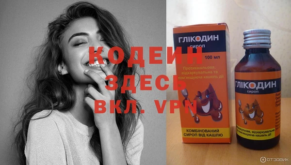 хмурый Аркадак