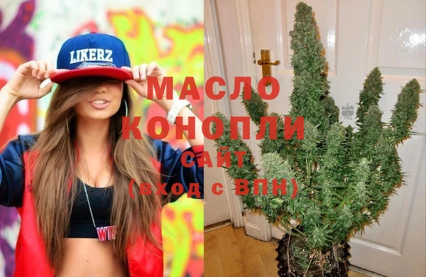 гашик Арсеньев
