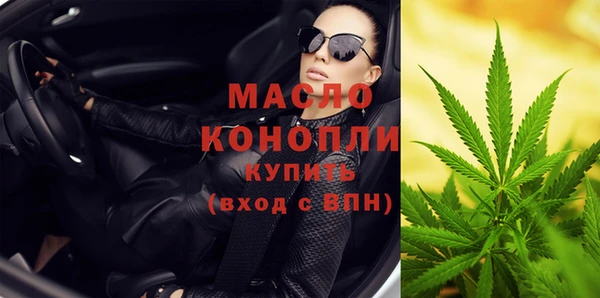 хмурый Аркадак